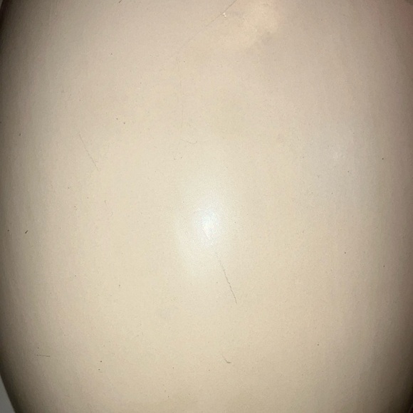 Cream Ceramic Egg Vase - large dinosaur egg shape - Picture 7 of 9